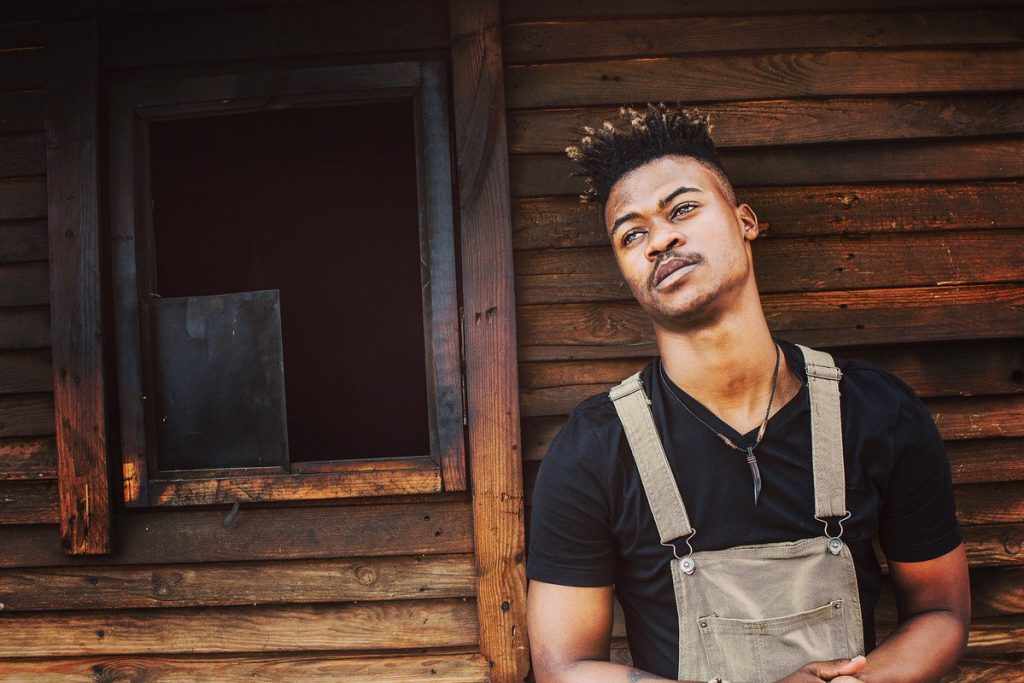 mlindo the vocalist features